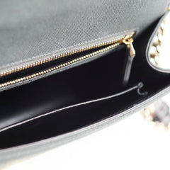 Christian Dior Medium Diorama Velvet