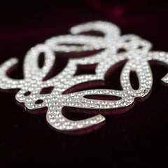 Loewe Mini Amazona Burgundy Velvet with Crystal Anagram