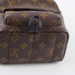 Louis Vutton Mini Palm Spring Monogram