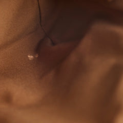 Louis Vuitton Tivoli PM Monogram