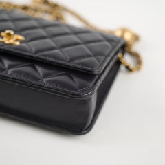 Chanel Wallet on Chain with Crush Black 30 series