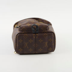 Louis Vuitton Palm Spring Mini Monogram Old Version