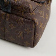 Louis Vuitton Palm Spring Mini Monogram Old Version