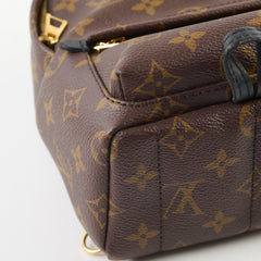 Louis Vuitton Palm Spring Mini Monogram Old Version