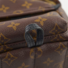 Louis Vuitton Palm Spring Mini Monogram Old Version