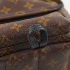 Louis Vuitton Palm Spring Mini Monogram Old Version