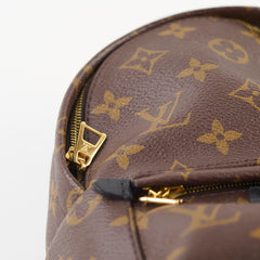 Louis Vuitton Palm Spring Mini Monogram Old Version