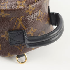 Louis Vuitton Palm Spring Mini Monogram Old Version
