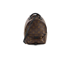 Louis Vuitton Palm Springs Mini Monogram