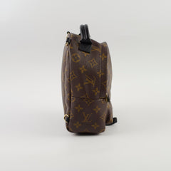 Louis Vuitton Palm Springs Mini Monogram
