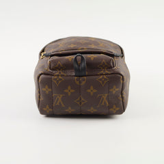 Louis Vuitton Palm Springs Mini Monogram