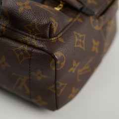 Louis Vuitton Palm Springs Mini Monogram