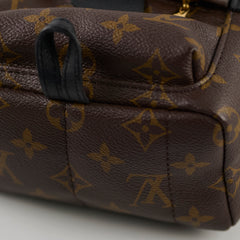 Louis Vuitton Palm Springs Mini Monogram