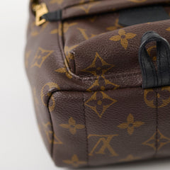 Louis Vuitton Palm Springs Mini Monogram