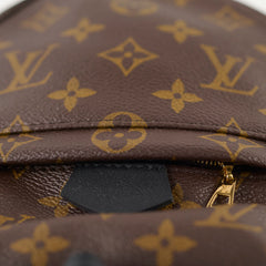Louis Vuitton Palm Springs Mini Monogram