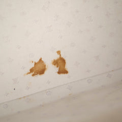 Louis Vuitton Suhali Lockit Bag Blue