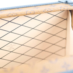 Louis Vuitton Petite Malle Checkered Reverse Monogram