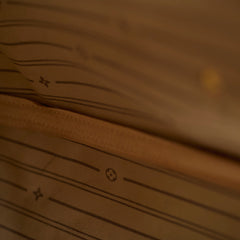 Louis Vuitton Neverfull MM Monogram