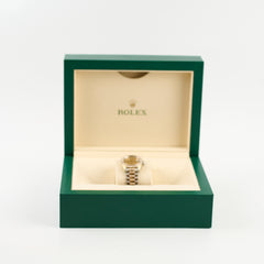 Rolex Oyster Perpectual 31mm Datejust Tricolour Watch