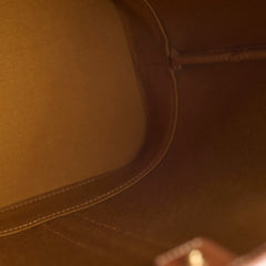 Celine Medium Bucket Bag in Triomphe Canvas and calfskin