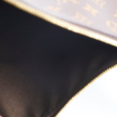 Louis Vuitton Loop Hobo Bag Monogram