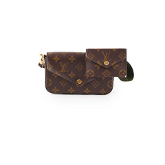 Louis Vuitton Felicie Strap & Go Monogram