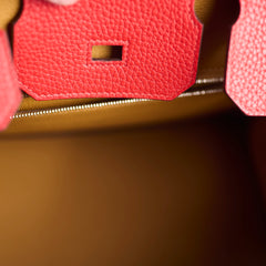 Hermes Birkin 30 Verso Rough Tomate/Naturel Sable Clemence 2019