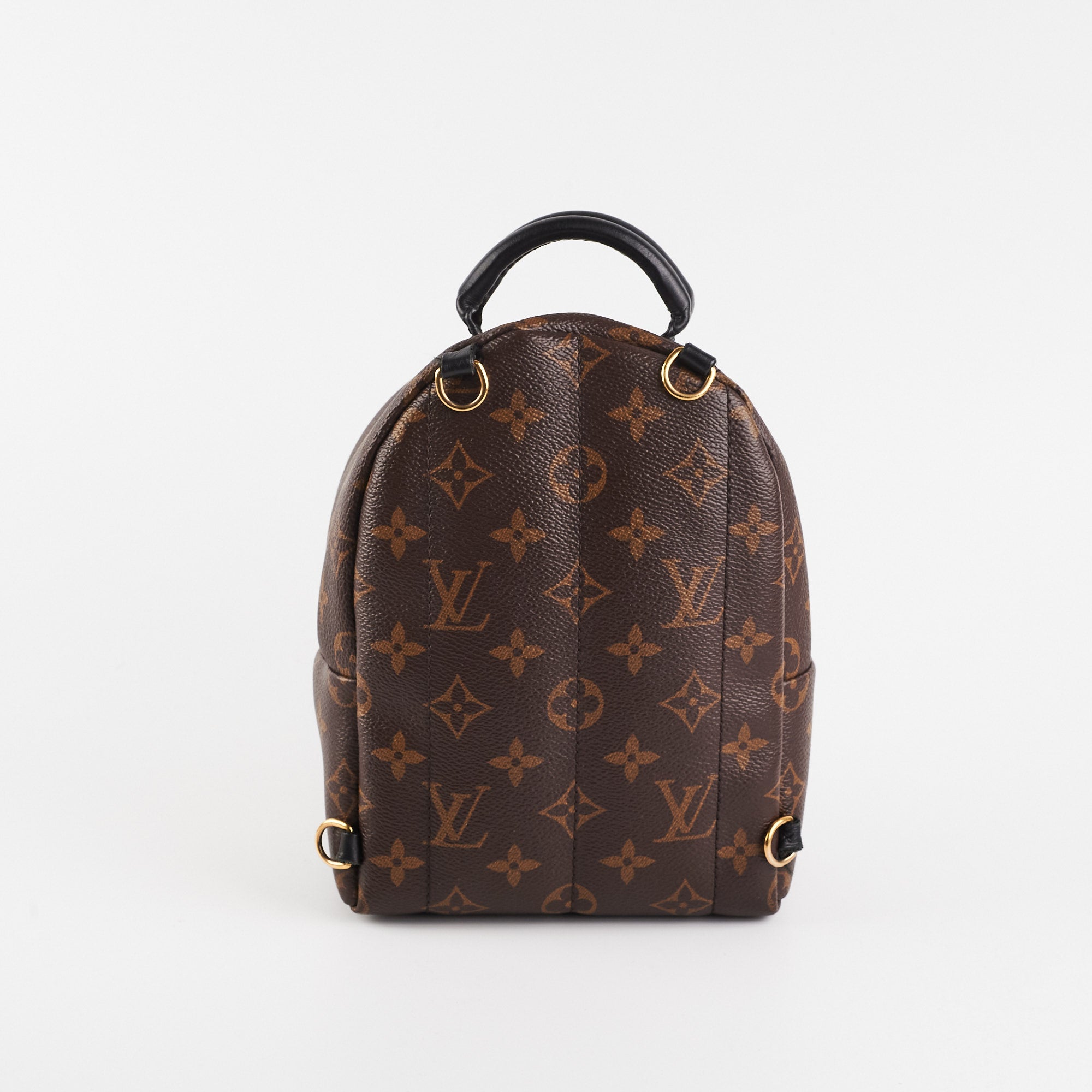 Louis Vuitton Mii Palm Spring Mini Monogram Bag - THE PURSE AFFAIR