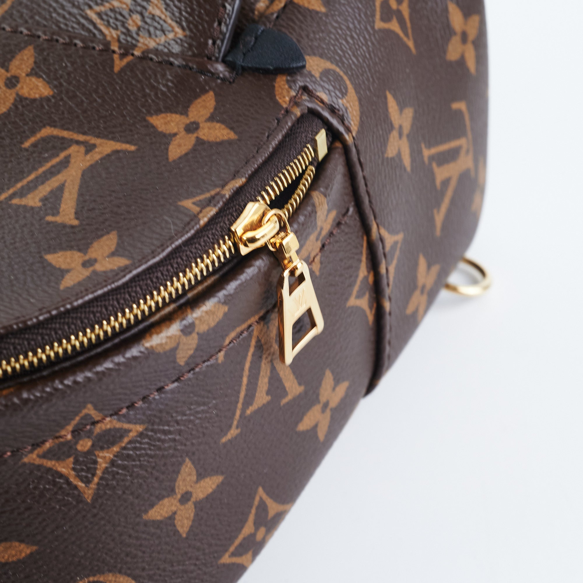 Louis Vuitton Palm Spring Mini backpack crossbody monogram (new zipper -  THE PURSE AFFAIR