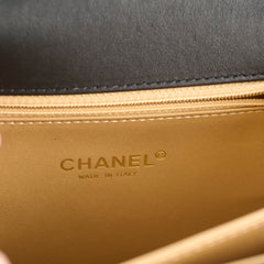 Chanel Seasonal Mini Flap Bag in Black