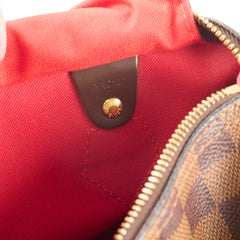 Louis Vuitton Speedy 25 Damier Ebene