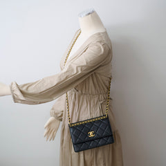 Chanel Seasonal Caviar Flap Cross body Bag Microchip