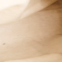 Gucci GG Canvas Hobo Shoulder Bag Brown