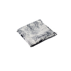 Christian Dior Toile De Jouy Silk Scarf