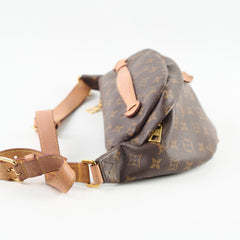 Louis Vuitton Bum Bag Monogram