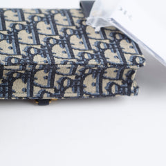 Dior Saddle Belt Pouch Oblique