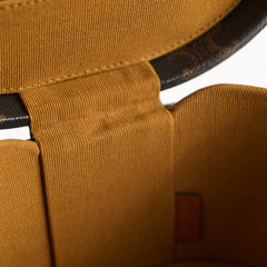 Celine Mini Vanity Case Triomphe Canvas/Calfskin Leather Brown