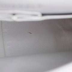 Chanel Reissue 226 Calfskin Flap Light Lilac