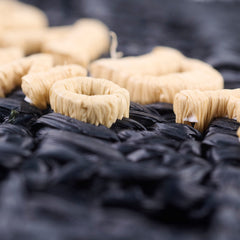 Prada Raffia Rectangle Small Tote Black