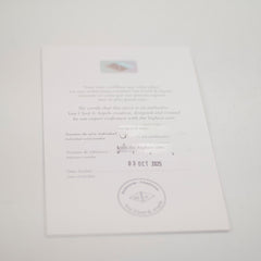 Van Cleef & Arpels 2025 Holiday Vintage Alhambra Pendant, Rose Gold, PINK Mother-of-Pearl, Diamond