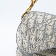Christian Dior Medium Saddle Oblique Light Grey