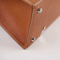 Goyard Saigon PM Taurillon Leather Gold