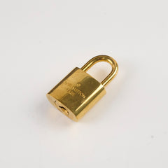 Louis Vuitton Speedy 25 Bandoulier Damier Ebene