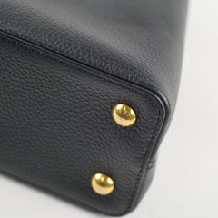 Louis Vuitton Capucines MM Tricolor