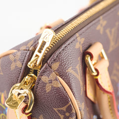 Louis Vuitton x Murakami Flower Speedy 20 Monogram