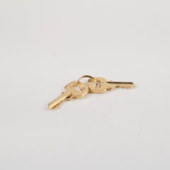 Louis Vuitton x Murakami Flower Speedy 20 Monogram