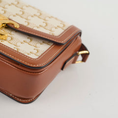 Celine Teen Canvas Triomphe White