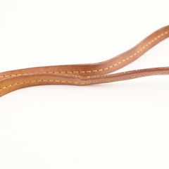 Louis Vuitton Favorite MM Monogram