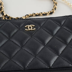 Chanel Zip Pearl Clutch on Chain Crossbody