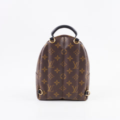 Louis Vuitton Palm Springs Mini